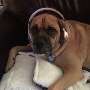 Meet your Posher, Logan